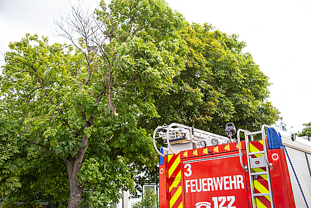 Bild 002 zum Bericht 2324