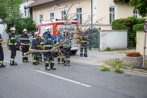 Bild 003 zum Bericht 2324