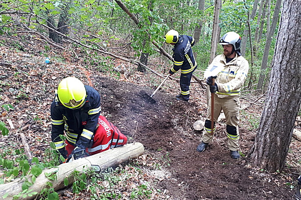 Foto: Sonderdienst  Flur- und Waldbrandbekämpfung