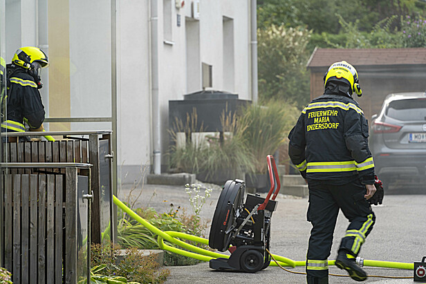 Bild 003 zum Bericht 2353