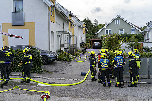 Bild 006 zum Bericht 2353