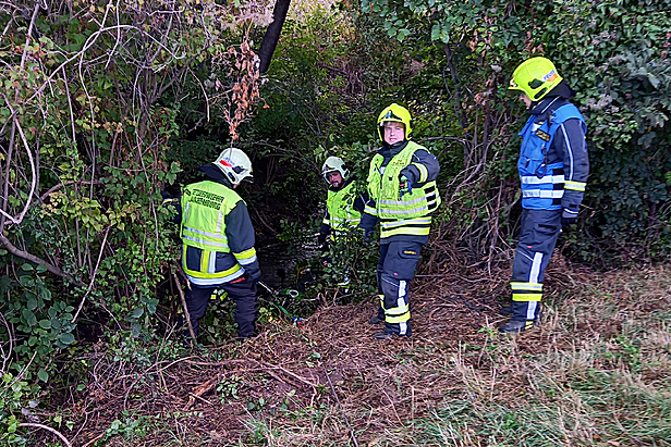 Bild 002 zum Bericht 2358