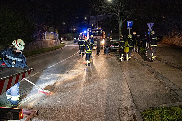 Bild 006 zum Bericht 2394