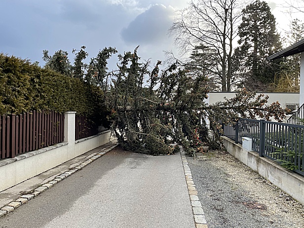 Foto: FF Perchtoldsdorf