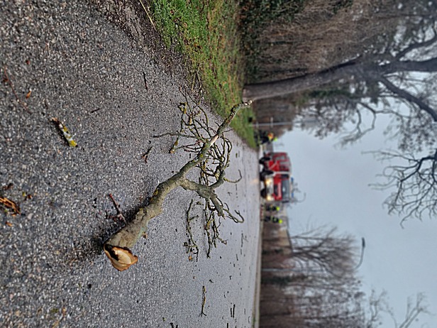 Foto: FF Münchendorf