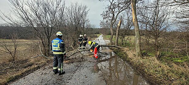 Foto: Pressestelle FF Mödling
