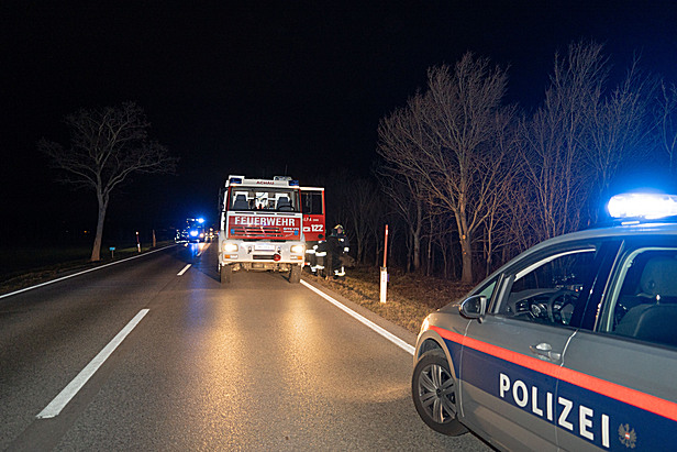 Bild 016 zum Bericht 2408
