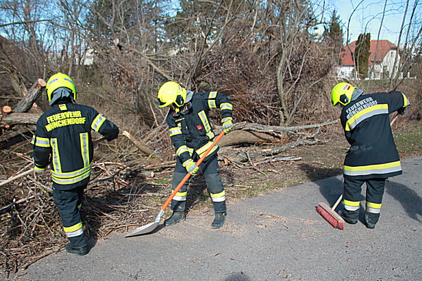 Bild 003 zum Bericht 2410