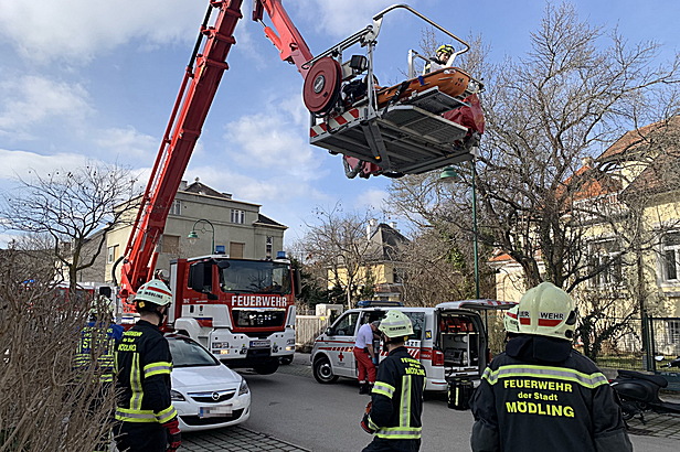 Bild 004 zum Bericht 2411