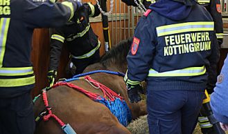 Vorschaubild: Tierrettung in Reitstall