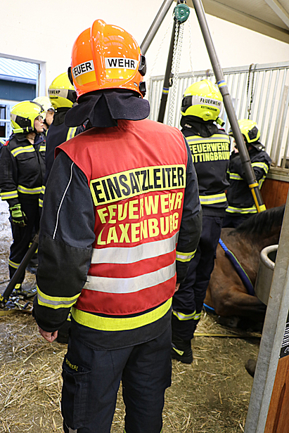 Bild 006 zum Bericht 2429