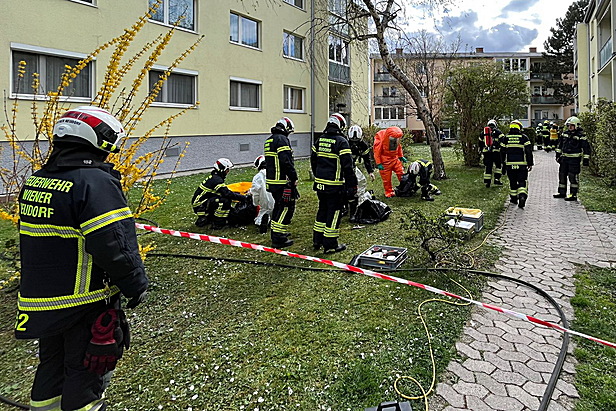 Bild 008 zum Bericht 2430