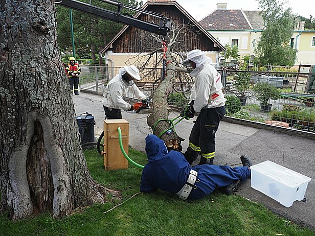 Bild 001 zum Bericht 2463