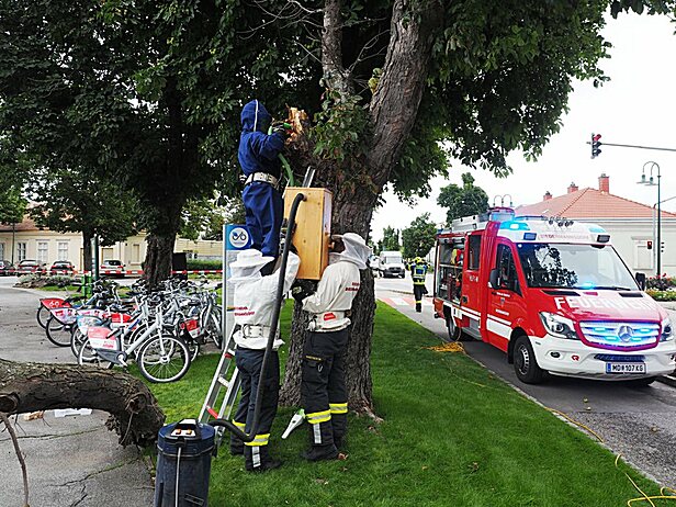 Bild 004 zum Bericht 2463