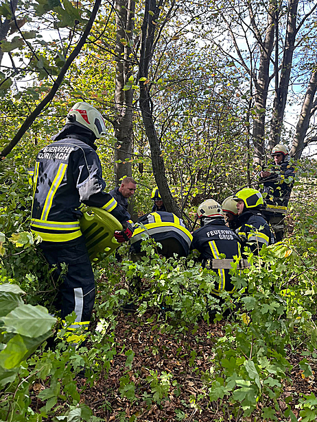 Bild 018 zum Bericht 2493