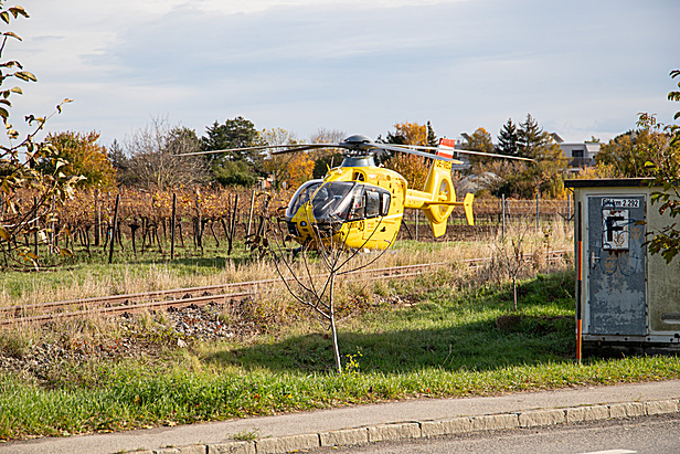 Bild 006 zum Bericht 2501