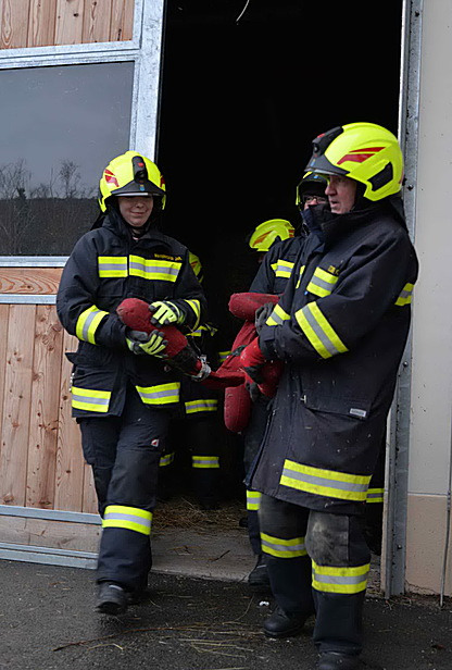 Bild 006 zum Bericht 2513