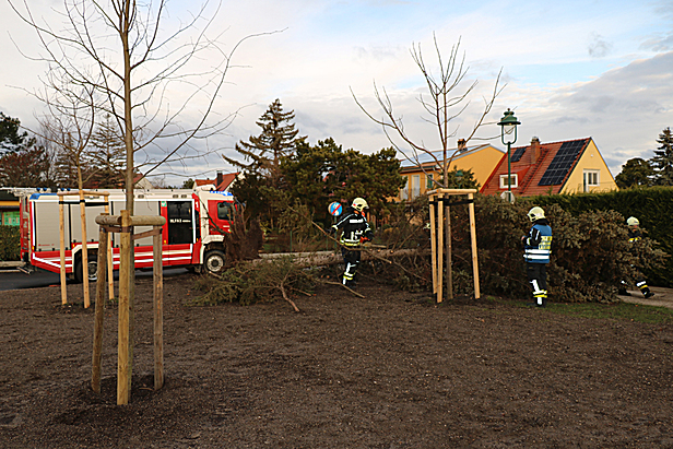 Bild: Freiwillige Feuerwehr Laxenburg