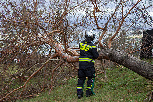 Bild: Freiwillige Feuerwehr Vösendorf