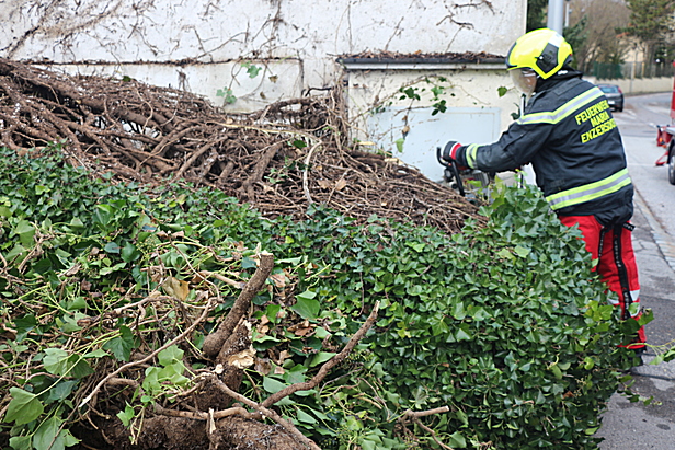 Bild: Freiwillige Feuerwehr Maria Enzersdorf