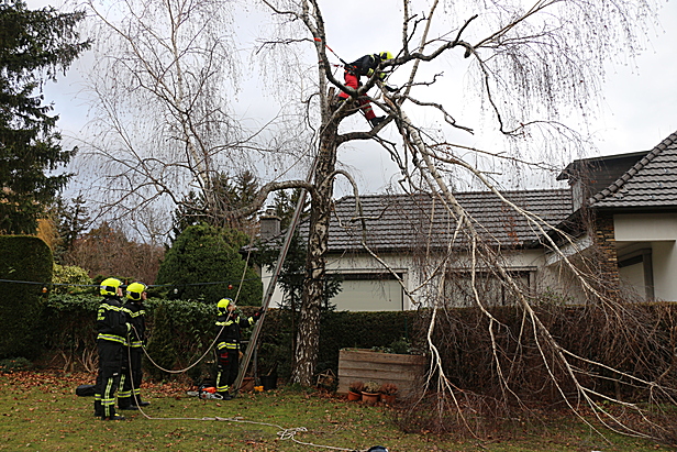 Bild: Freiwillige Feuerwehr Maria Enzersdorf