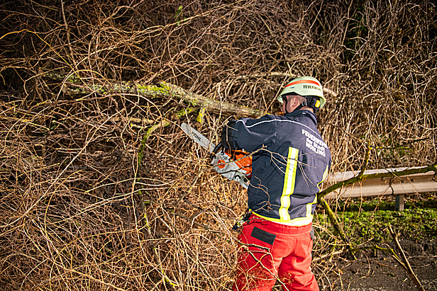 Bild: Freiwillige Feuerwehr Mödling