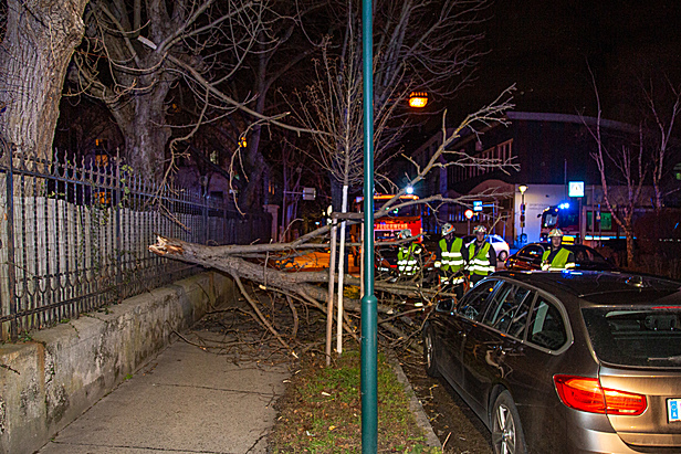 Bild: Freiwillige Feuerwehr Mödling