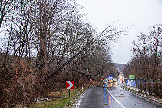 Bild: Freiwillige Feuerwehr Mödling