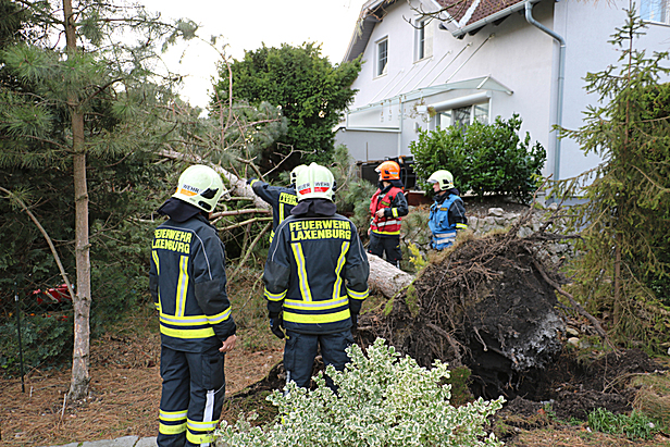 Bild: Freiwillige Feuerwehr Laxenburg