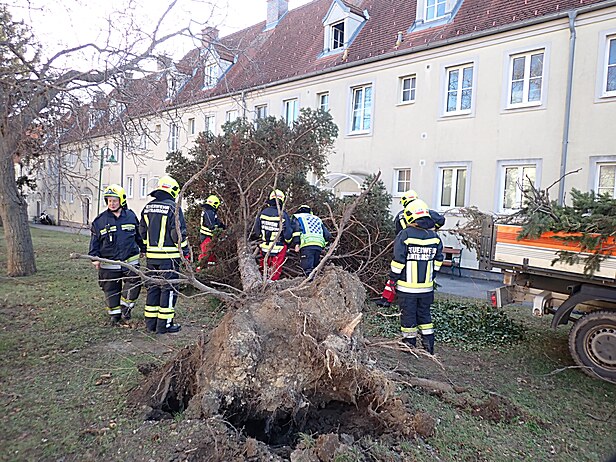 Bild 003 zum Bericht 2522