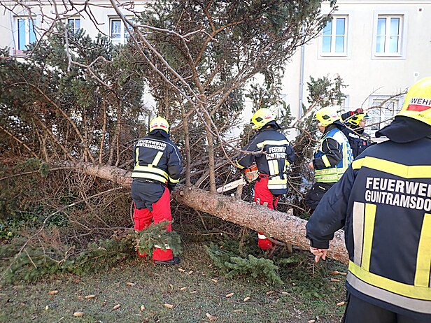 Bild 005 zum Bericht 2522