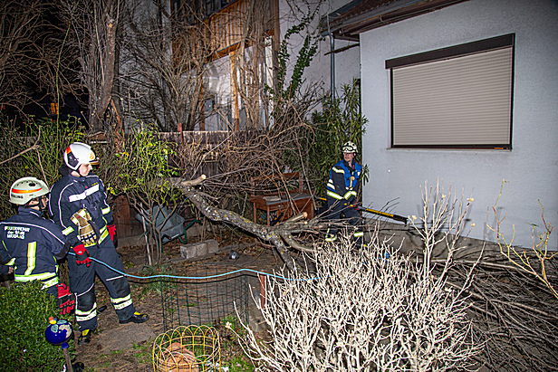 Bild 009 zum Bericht 2522