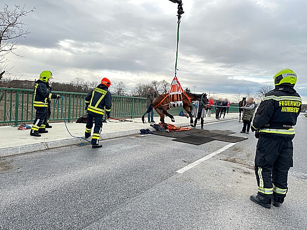 Foto: FF Himberg