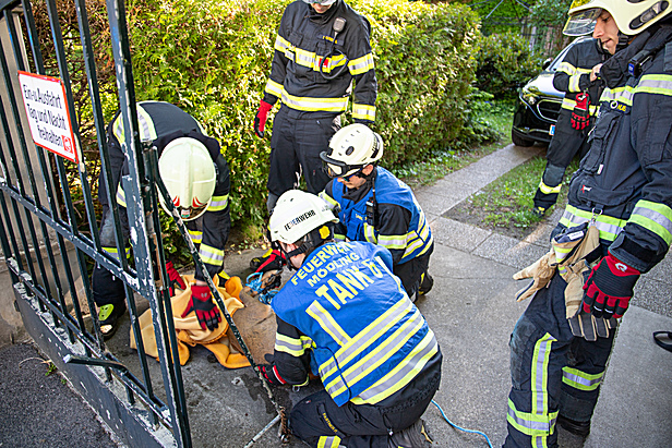 Bild 002 zum Bericht 2558