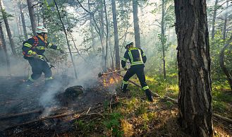 Vorschaubild: Waldbrand im Mödlinger Anningerforst