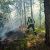 Vorschaubild zu Waldbrand im Mödlinger Anningerforst