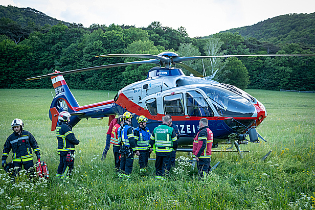 Bild 010 zum Bericht 2562