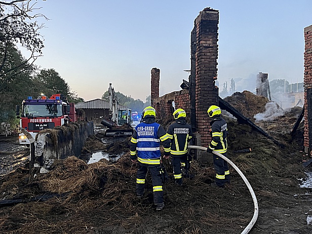 Bild 010 zum Bericht 2592