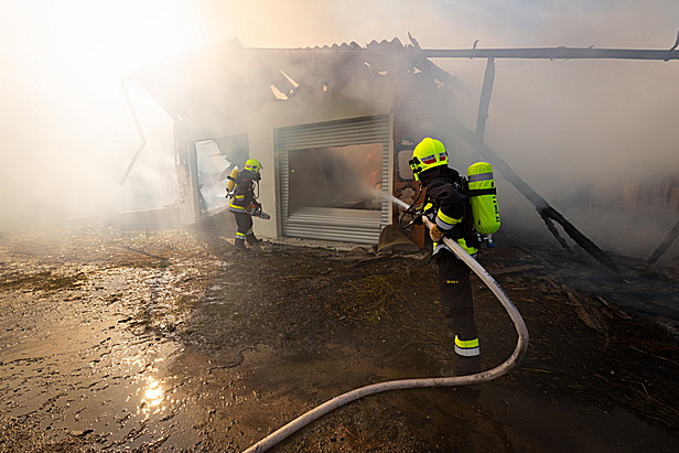 Bild 005 zum Bericht 2592
