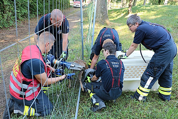 Bild 001 zum Bericht 2597