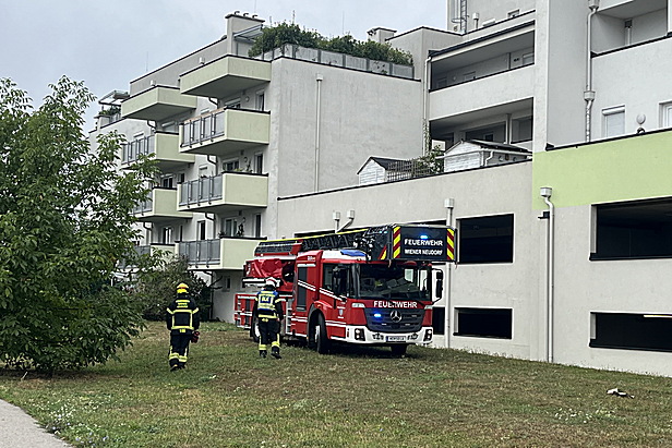 Bild 001 zum Bericht 2599