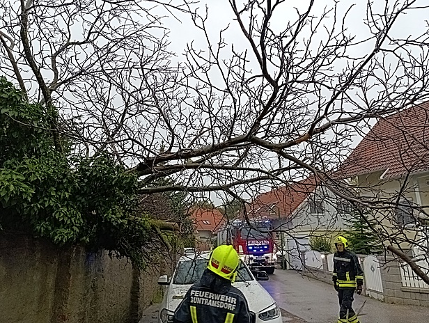 FF Guntramsdorf