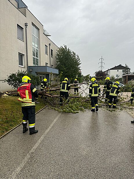 FF Münchendorf