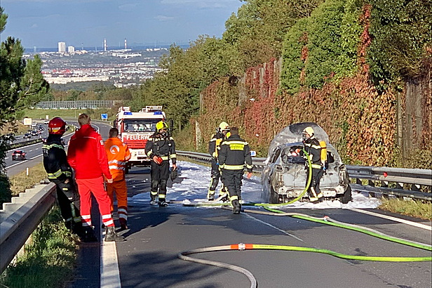Bild 006 zum Bericht 2614