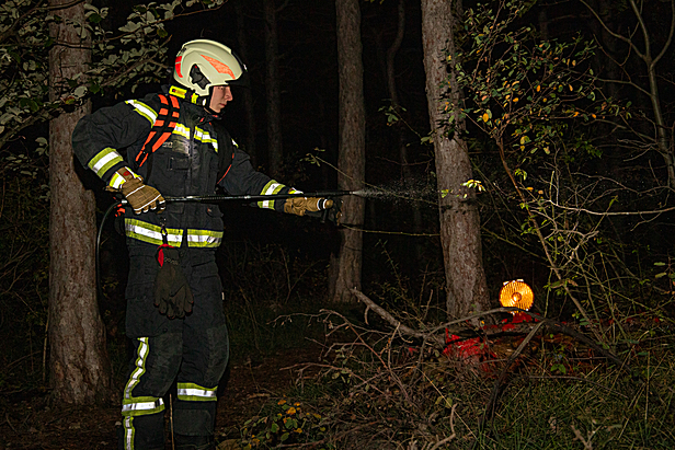 Bild 003 zum Bericht 2621