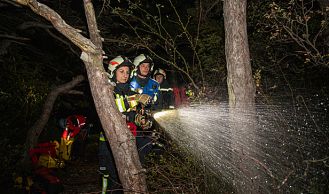 Vorschaubild: Großübung im Waldgebiet