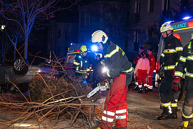 Bild 001 zum Bericht 2630