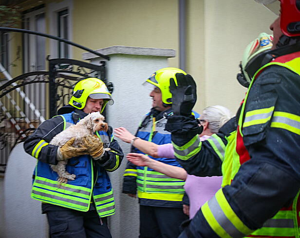 Bild 003 zum Bericht 2631