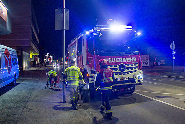 FF Vösendorf