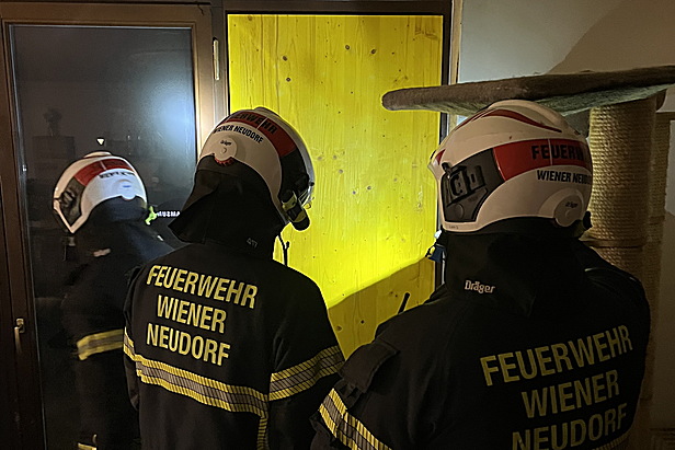 Bild 005 zum Bericht 2665